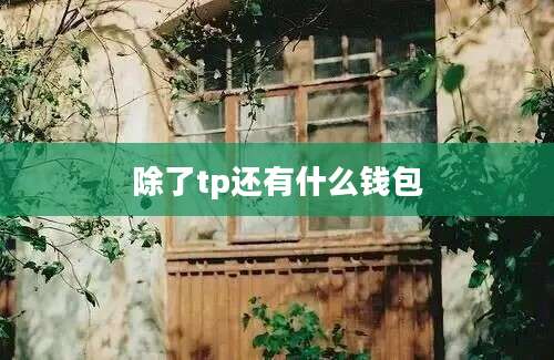 除了tp还有什么钱包