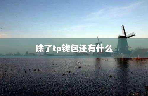 除了tp钱包还有什么