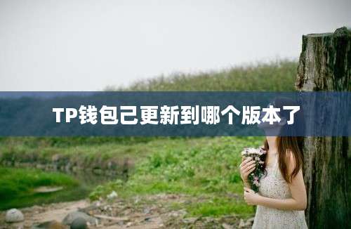 TP钱包己更新到哪个版本了