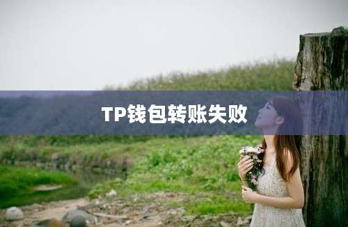 TP钱包转账失败