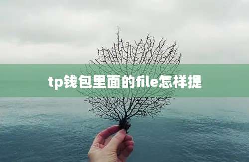 tp钱包里面的file怎样提