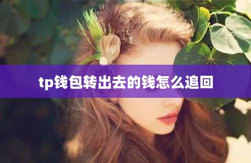 tp钱包转出去的钱怎么追回