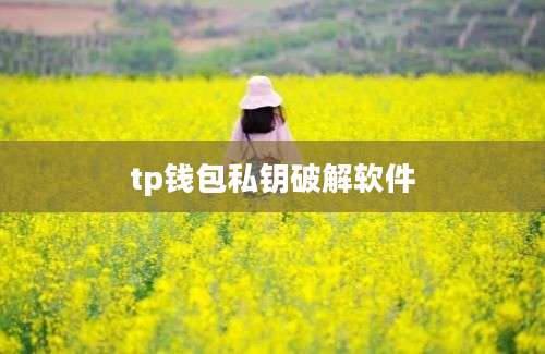 tp钱包私钥破解软件