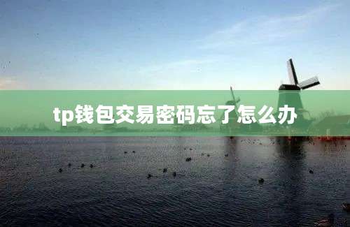 tp钱包交易密码忘了怎么办