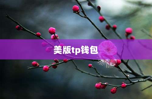 美版tp钱包