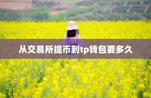 从交易所提币到tp钱包要多久