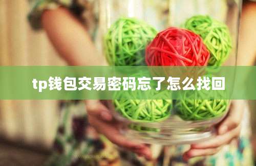 tp钱包交易密码忘了怎么找回