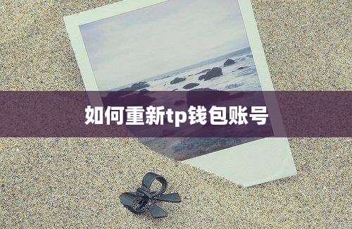 如何重新tp钱包账号