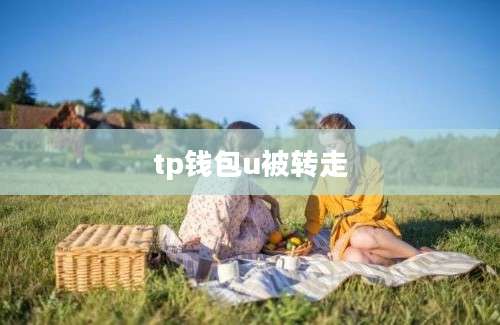 tp钱包u被转走