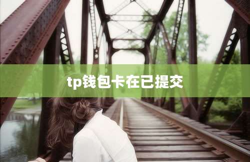 tp钱包卡在已提交