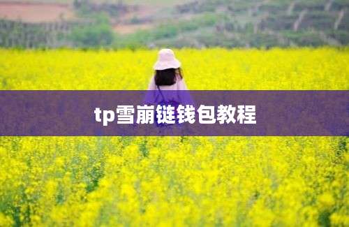 tp雪崩链钱包教程