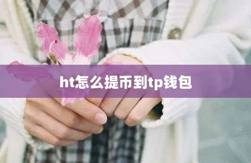 ht怎么提币到tp钱包