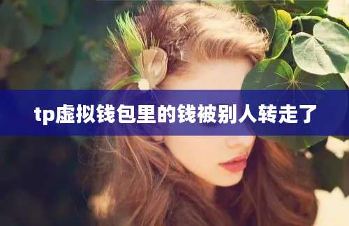 tp虚拟钱包里的钱被别人转走了
