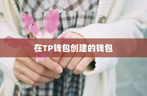 在TP钱包创建的钱包