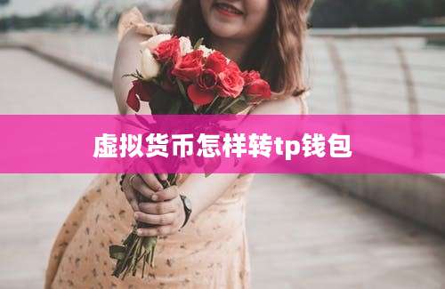 虚拟货币怎样转tp钱包