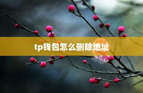 tp钱包怎么删除地址