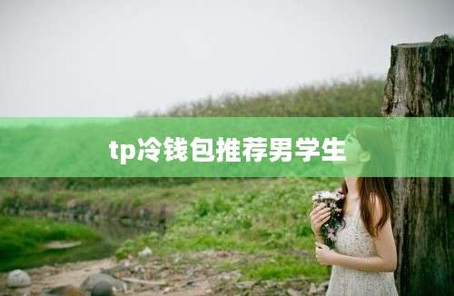 tp冷钱包推荐男学生