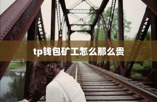 tp钱包矿工怎么那么贵