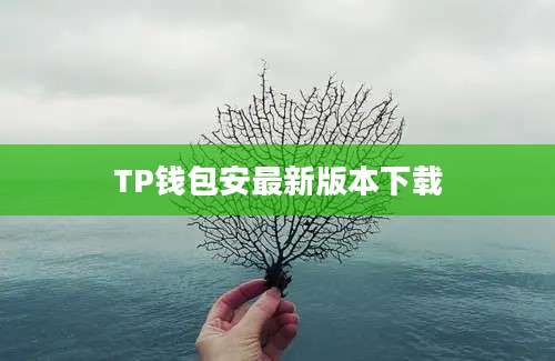 TP钱包安最新版本下载