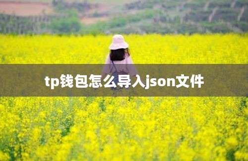 tp钱包怎么导入json文件