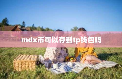 mdx币可以存到tp钱包吗