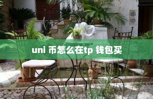 uni 币怎么在tp 钱包买