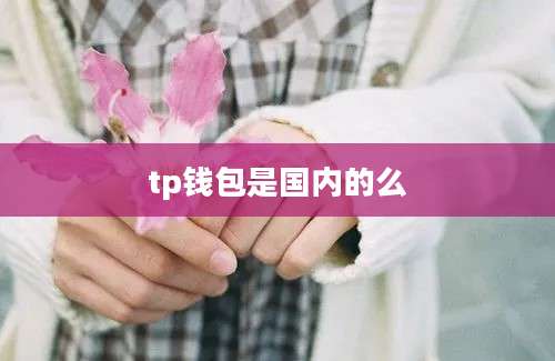 tp钱包是国内的么