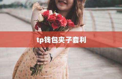 tp钱包夹子套利