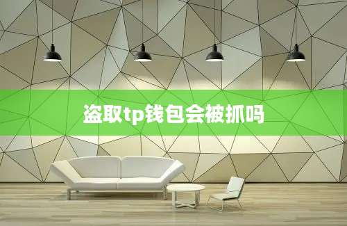 盗取tp钱包会被抓吗