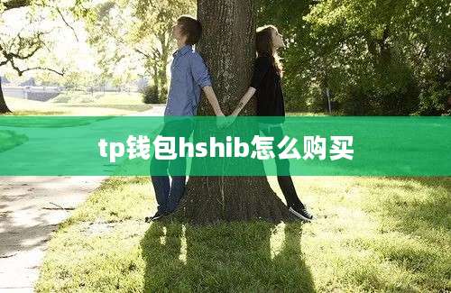 tp钱包hshib怎么购买