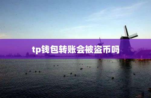 tp钱包转账会被盗币吗