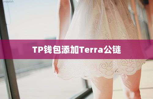 TP钱包添加Terra公链