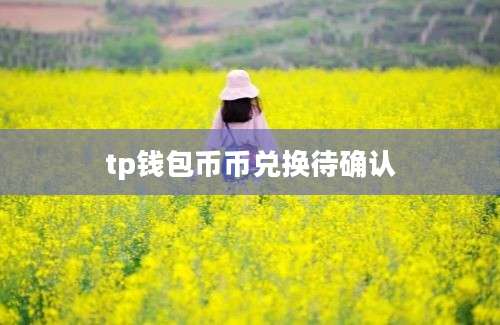 tp钱包币币兑换待确认
