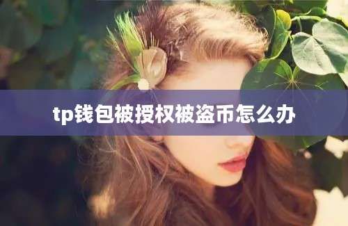 tp钱包被授权被盗币怎么办