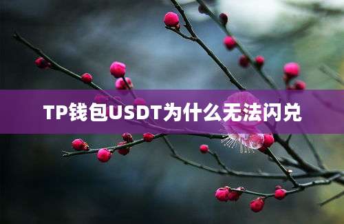 TP钱包USDT为什么无法闪兑