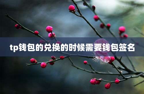 tp钱包的兑换的时候需要钱包签名