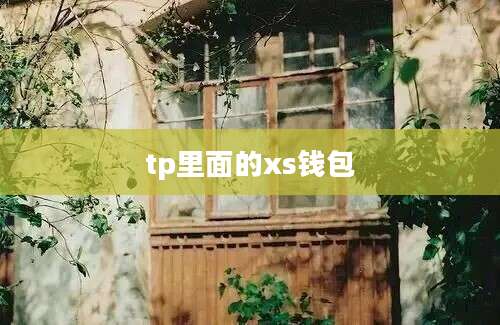tp里面的xs钱包