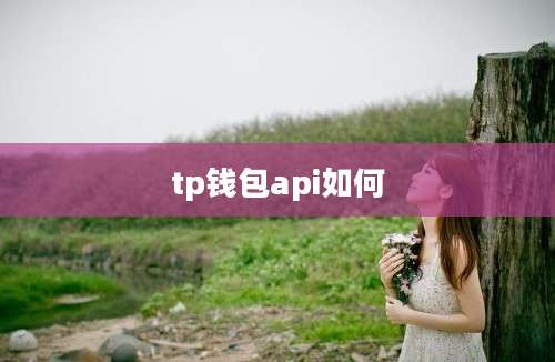tp钱包api如何