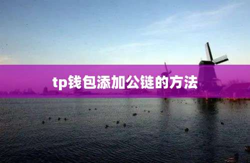 tp钱包添加公链的方法