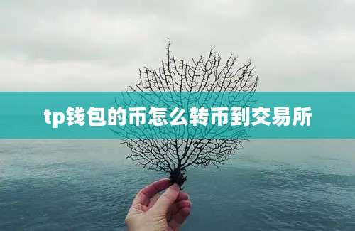 tp钱包的币怎么转币到交易所