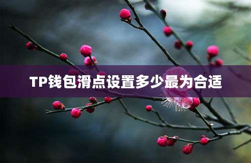 TP钱包滑点设置多少最为合适