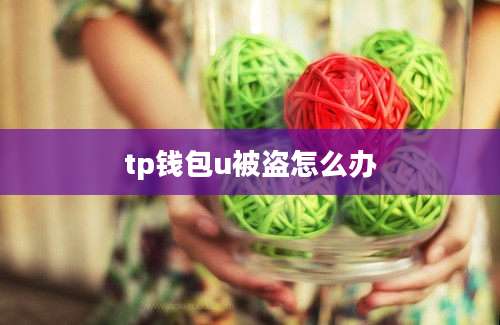 tp钱包u被盗怎么办