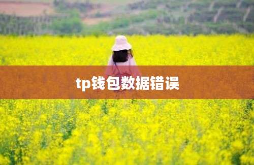 tp钱包数据错误