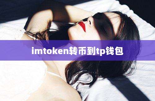 imtoken转币到tp钱包