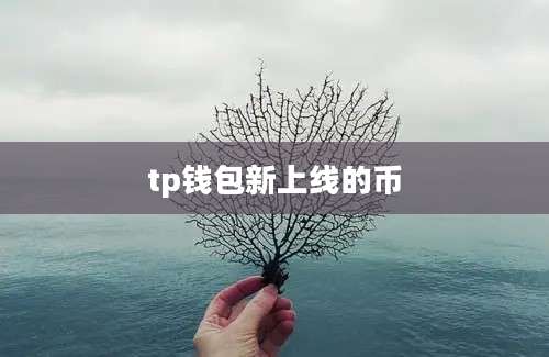 tp钱包新上线的币