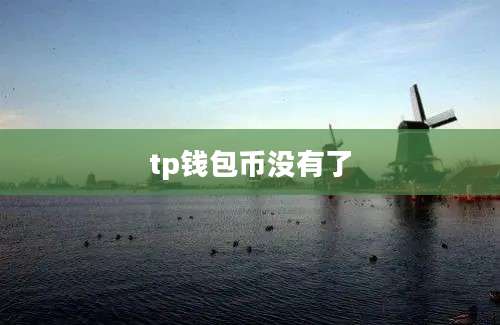 tp钱包币没有了