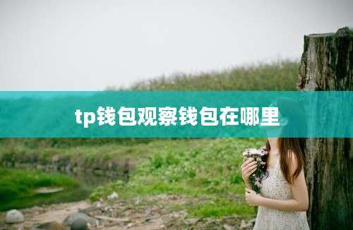 tp钱包观察钱包在哪里
