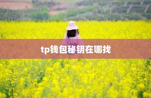 tp钱包秘钥在哪找