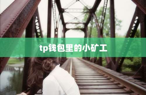 tp钱包里的小矿工