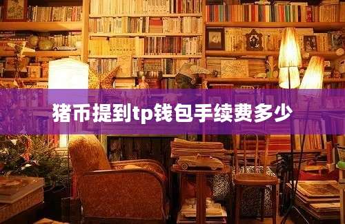 猪币提到tp钱包手续费多少
